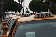 Такси выкрасят в один цвет